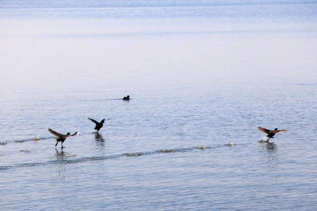 辽滨春色美景上线！邀您共赏~