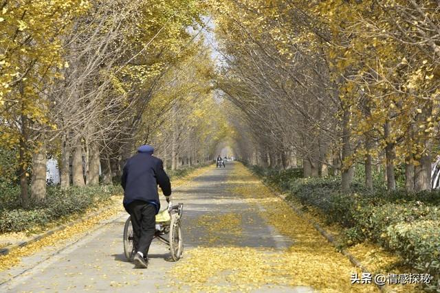 偶尔的发现，揭开奶奶的情感世界，那份珍藏的发了黄的破烂的情书