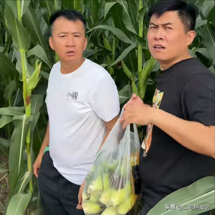 被央媒点名批评的6部烂剧，如果你一部都没看，恭喜你成功避雷