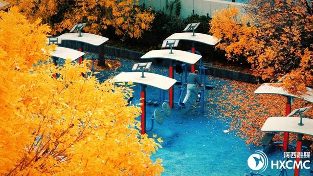 秋洒落的地方 藏着温柔与力量