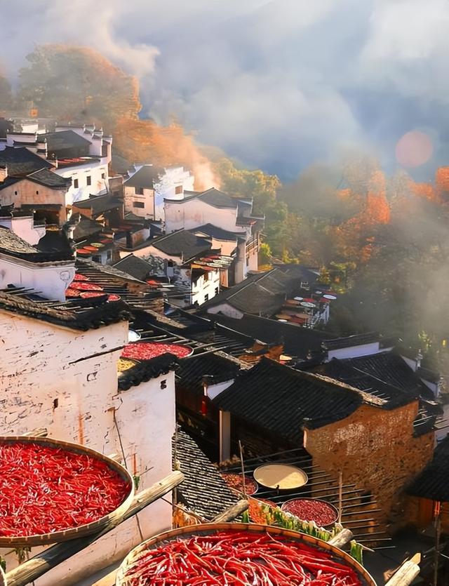 踏迹寻旅：探秘最美符号的诗意之旅上饶婺源