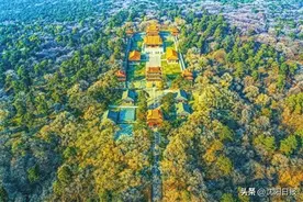 沈阳秋天最美的时候到了！枫林霜叶舞，树树皆秋色图片