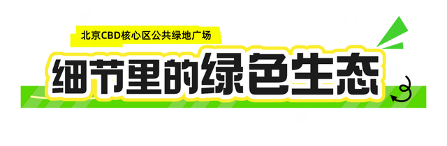 终于等到！北京CBD核心区公共绿地广场开放了！