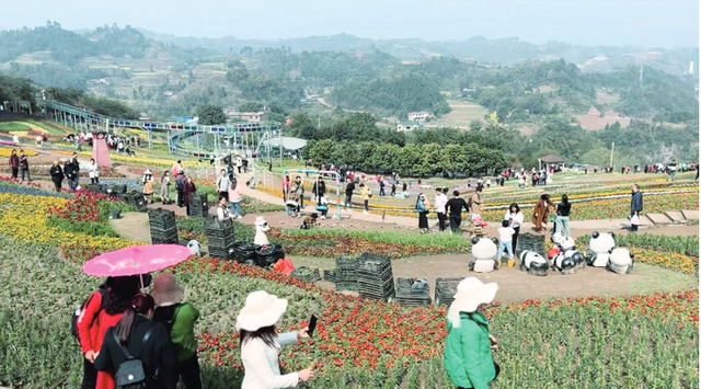 四川省叙州区历史沿革及行政区划