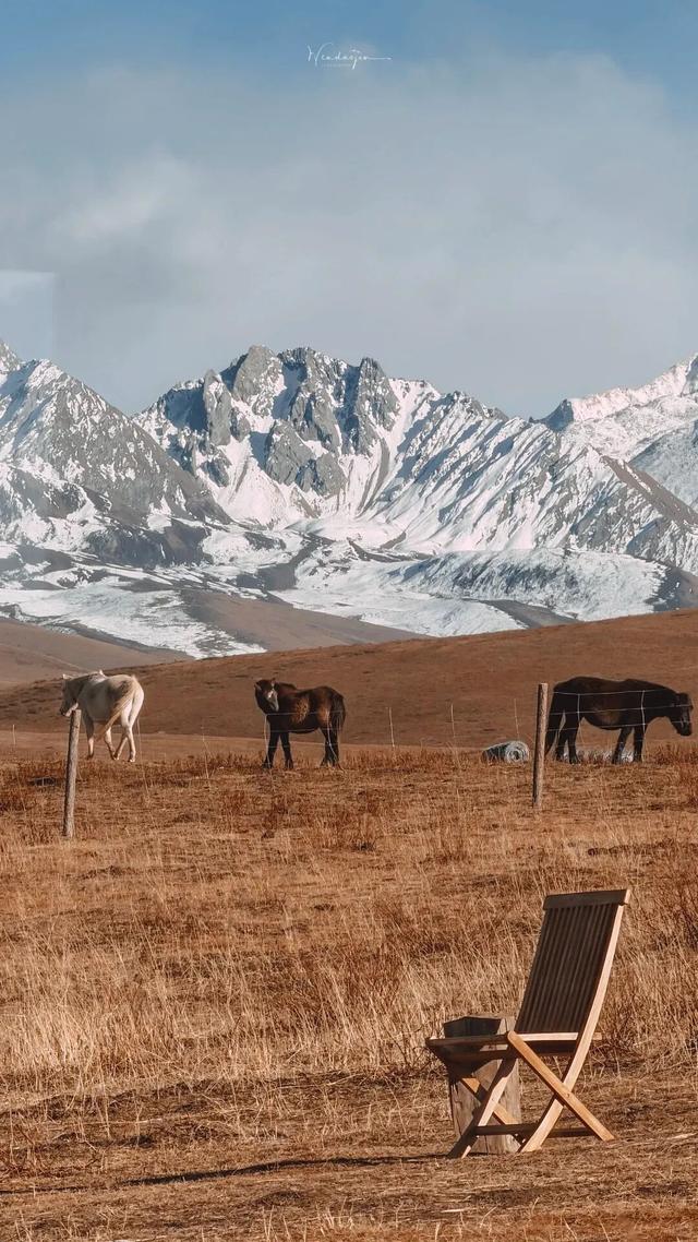 成都⇌康定往返专车！从从容容游刃有余看美景！