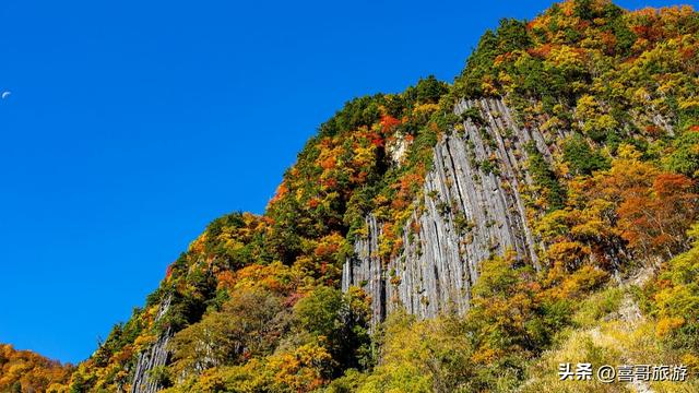 白石砬子：辽东半岛的“绿色方舟”，藏着你未曾见过的原始秘境