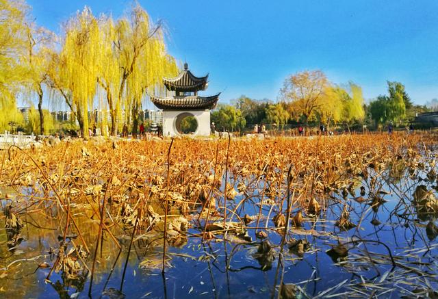 狂风散尽现碧空 北京市民陶然亭公园共赴“大风蓝”之约