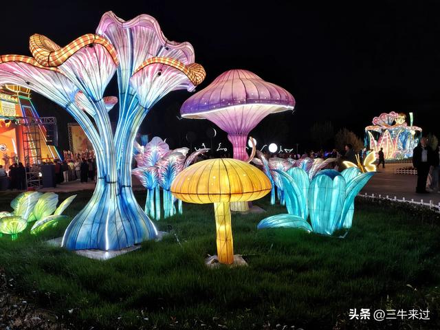 无为在歧路，淄博花灯齐彩城免票