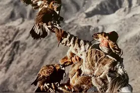 看完英国人拍摄的2000年哈萨克人照片，才知道我的阿勒泰多贴现实图片