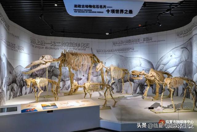 遇见•临夏丨金秋看展 与临夏文博来一场跨越时空的“对视”