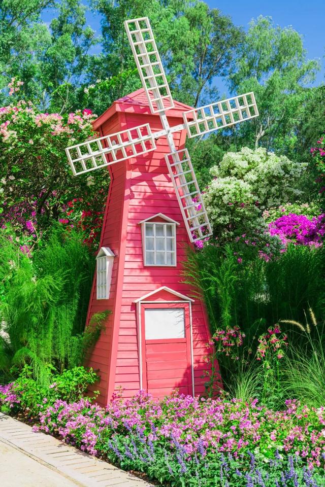 挤爆了！今天莲花山都是人人人，网友：感觉全深圳都来了！