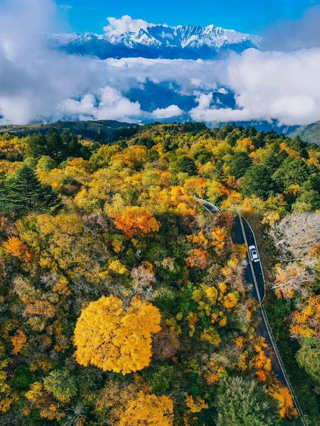不是光雾山去不起，是这里更有性价比！