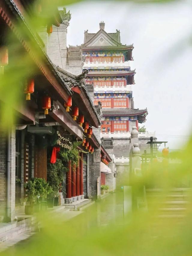 听说，最近渭南人迷上了“捡秋”！绝美秋色不容错过