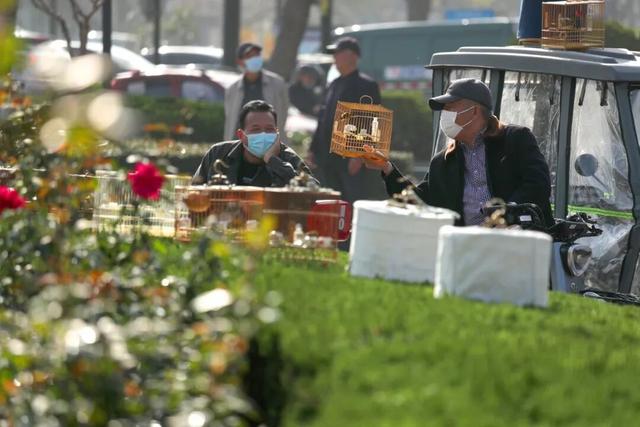 听劝，冬天在开封，还能这样玩！