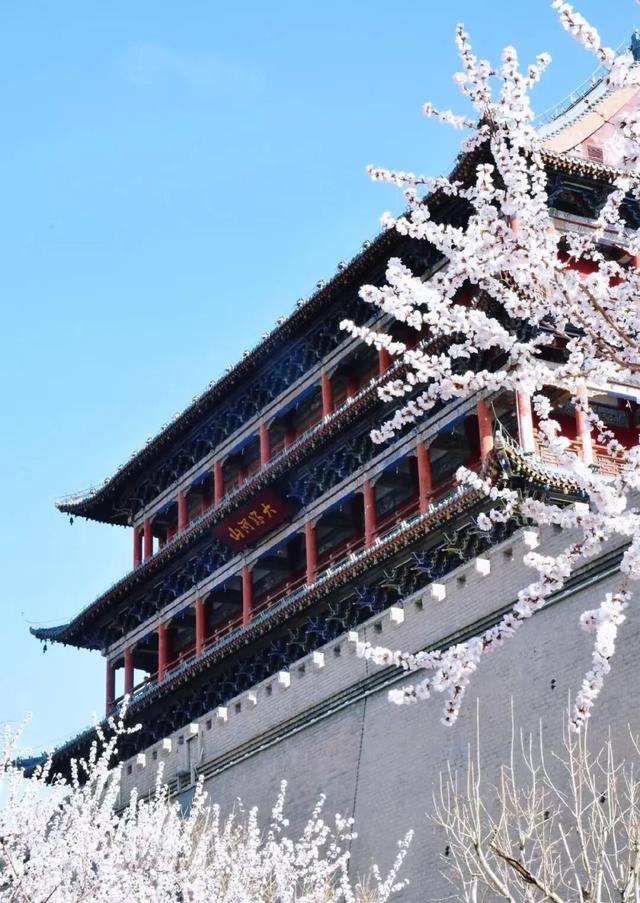 来武威，共赴人间四月天