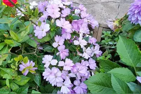 越爱你的男人，越会在这些事情上让着你，很暖心图片