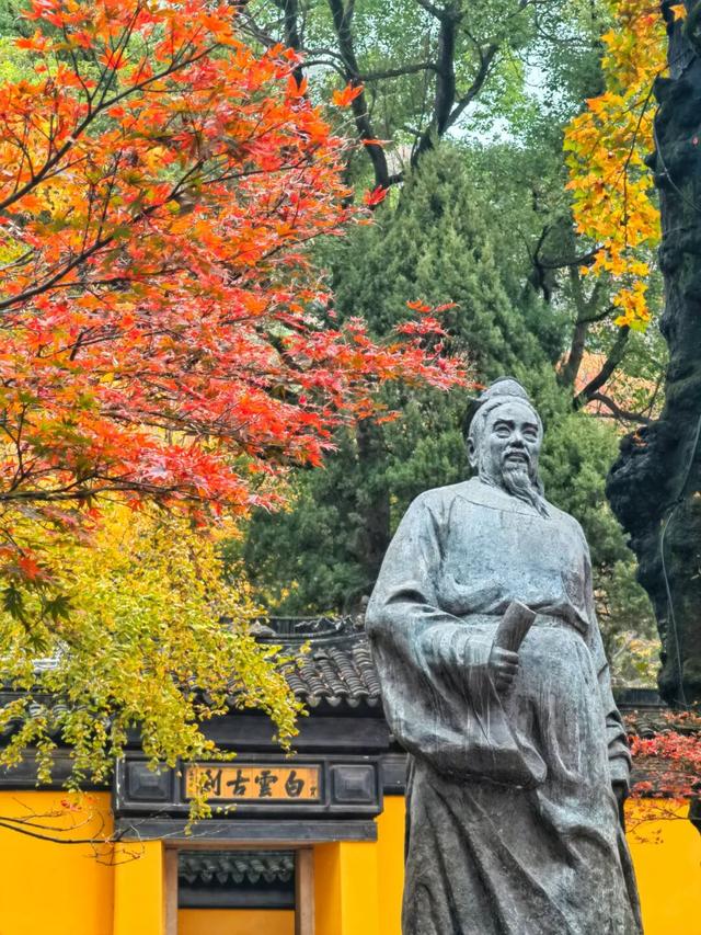 枫叶不输北国，园林比故宫浪漫！这座城市私藏了江南的所有秋天