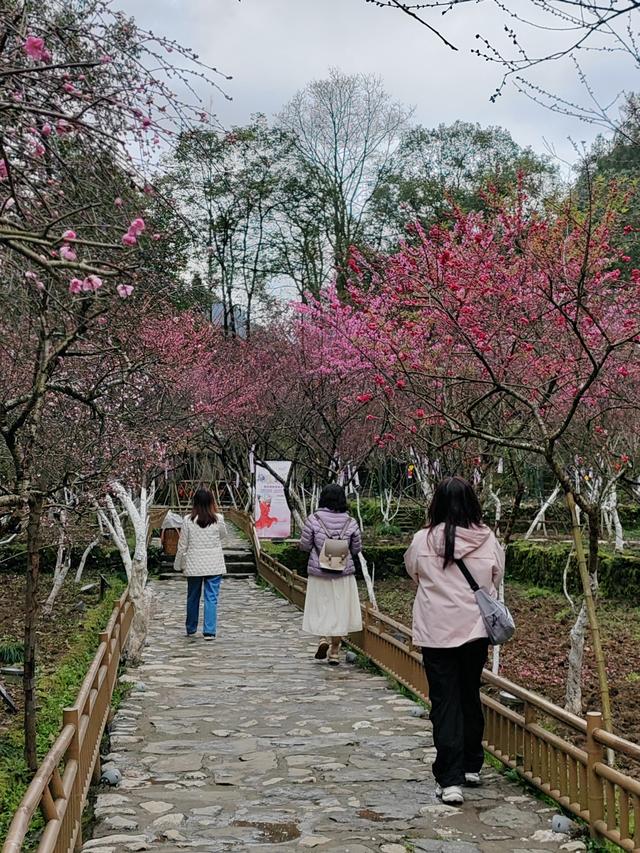 重庆酉阳桃花源，必须点赞！
