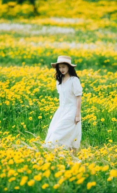 地铁直达！全部免费！成都15个被问爆的赏花地，蓝花楹三角梅美疯了