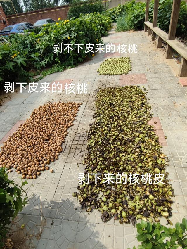 剥青核桃皮把手弄黑了，怎么也洗不掉，这东西是否可以用来染发呀