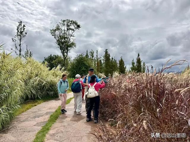 假日徒步，走昆明滇池草海之开合浮桥、雨中打卡新晋网红地，休闲