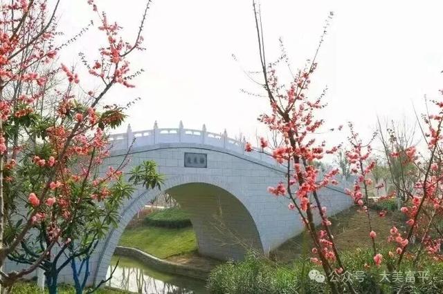 花期、地点、路线，富平春天赏花全攻略！