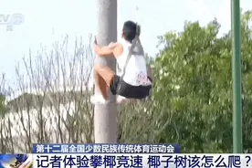 原来，爬树真的有全国比赛……图片