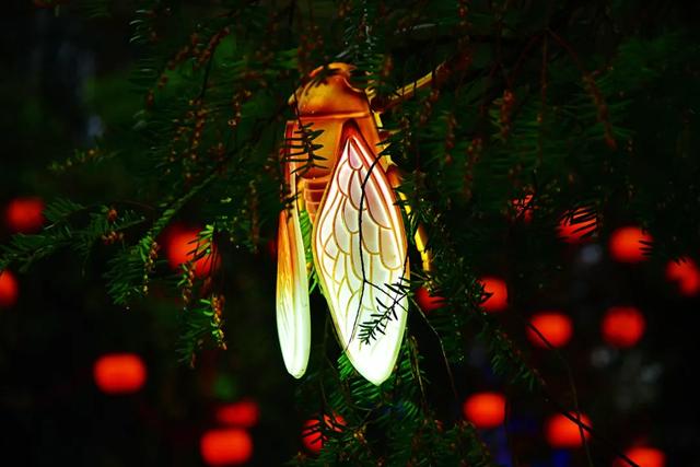 桂林：首届非遗千灯游园，光影艺术璀璨盛宴！