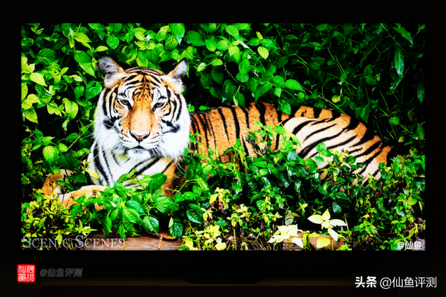 全干货！2025年海信电视满血玩机与购买指南