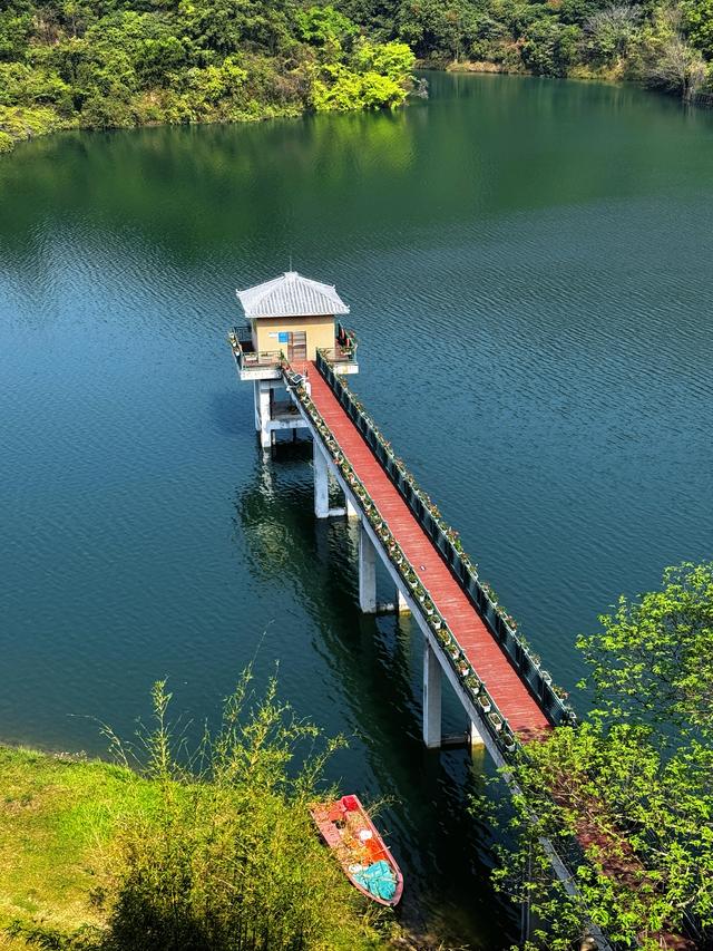 藏在广州的“小新西兰”：水声水库环湖秘境，5公里治愈徒步路线