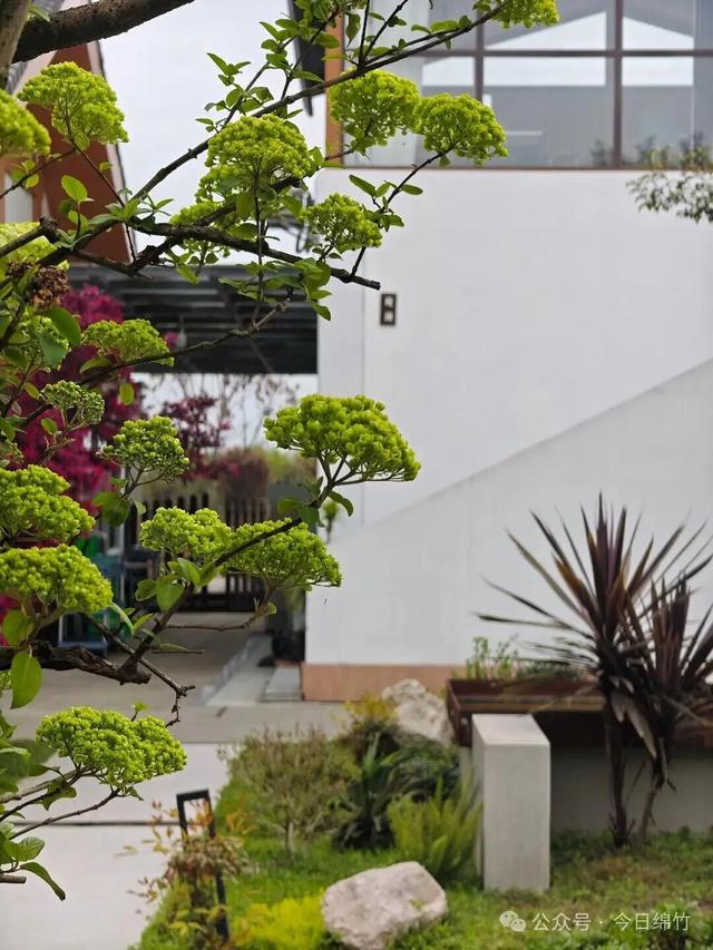 闹热得很！再过两天，绵竹这里又是人山人海……