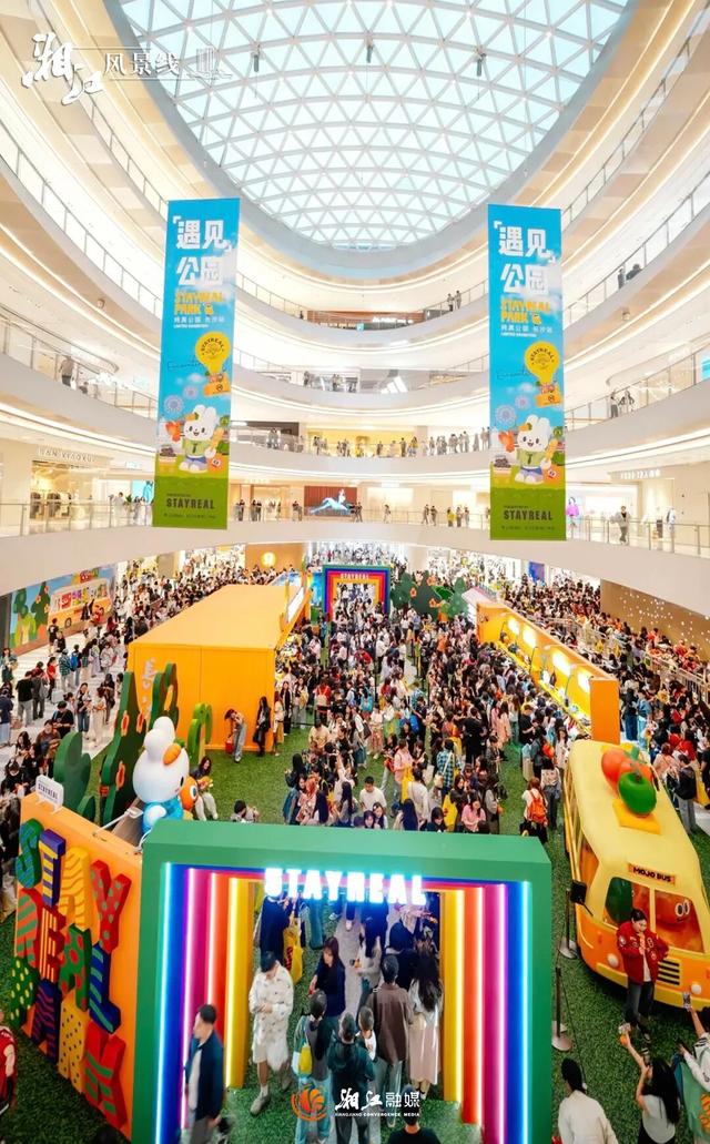 这样的桐梓坡，你一定没见过！