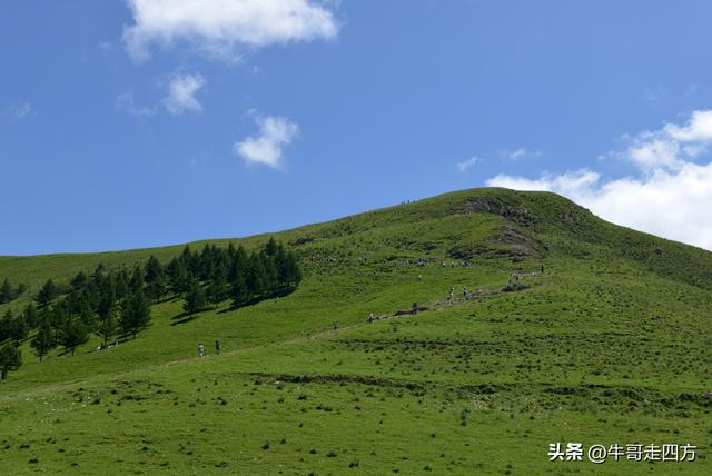 河北麻田岭（上）：绿野铺毡接云影、风轮伴路探山魂