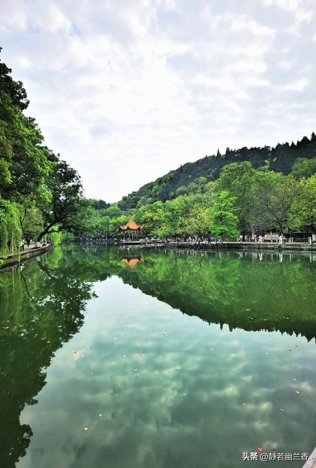 拥抱春天的绿水青山