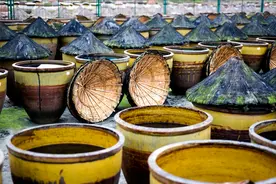 中国的“10大名醋”，北方5种，南方5种，都是百年口碑，各有千秋图片