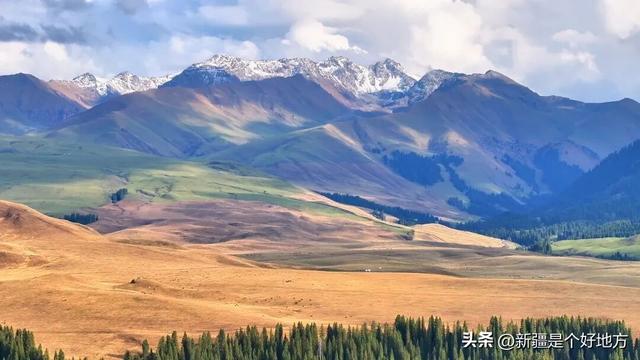 一文讲清，伊犁8个草原现在景色怎么样？