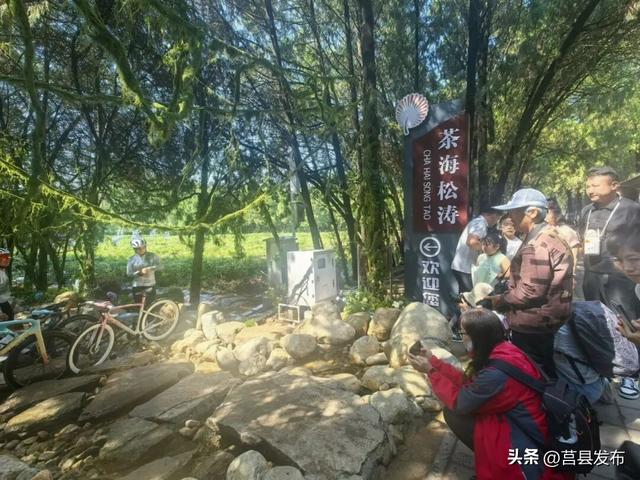 骑行茶山，拍下一整个秋天的温柔
