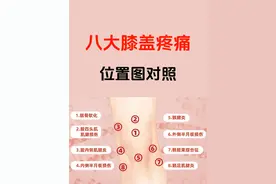 八大膝盖疼痛位置对照图解析！图片