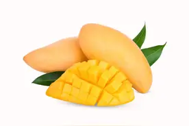 益胃解渴、利尿止晕之果——芒果图片