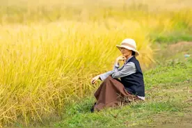 今天过节，免票！图片