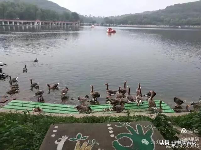 邂逅北京房山牛口峪湿地公园:工业废水的生态蝶变| 申艳娟