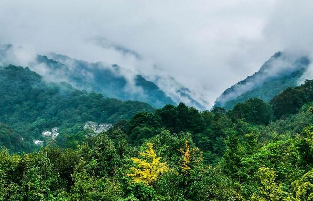 广东这条218公里公路火了！自驾一圈，我差点以为到了瑞士