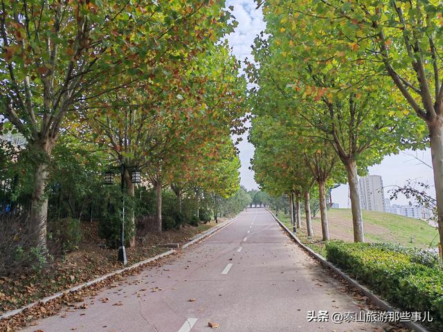 泰安西南有一个体育公园，犹如大草原，紧邻一座文旅商业综合体