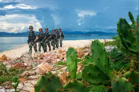 铁道游击队撤番后，末任政委升二炮中将副司令，大队长授啥军衔？图片