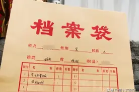 档案里都有哪些材料图片