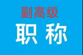 教师申请副高级的专业技术工作总结（模板文章）图片