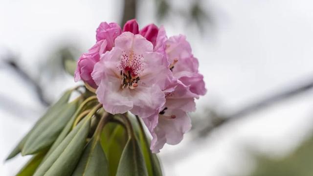 春假倒计时｜汉江源亲子踏青指南，承包全家春日欢喜！