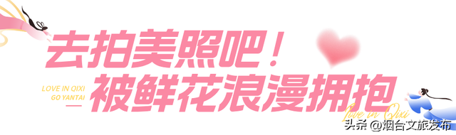 【乐游烟台】在烟台过七夕，这些地方糖分超标！