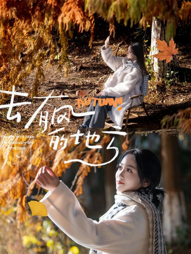 走进盐渎公园，闯进水杉林的秋日童话🍂