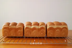 面包的一次发酵、两次发酵、中种发酵，它们究竟有什么区别？图片